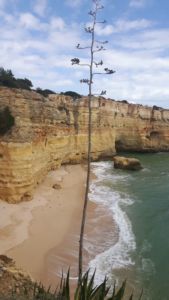 Praia do Pau